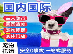 二连浩特机场空运国际宠物托运 【国